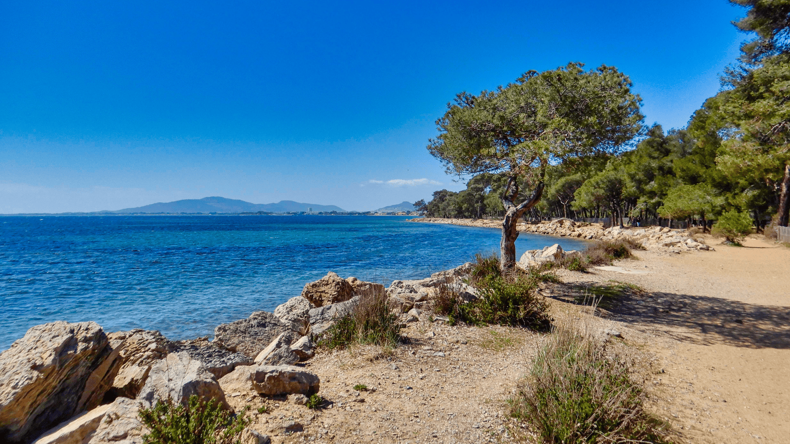 immobilier_hyeres