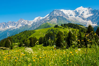 view of Mont Blanc from Megève in summer