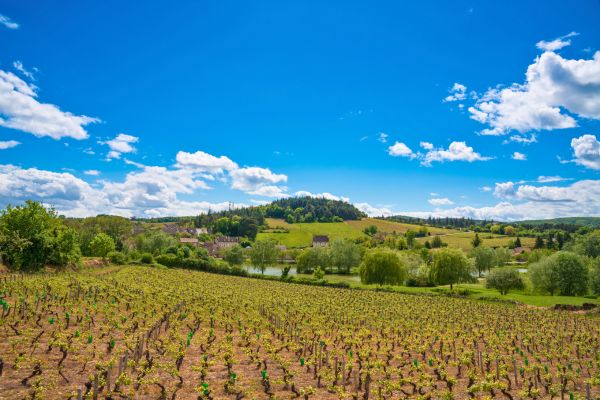 Pourquoi vivre à Mâcon ?