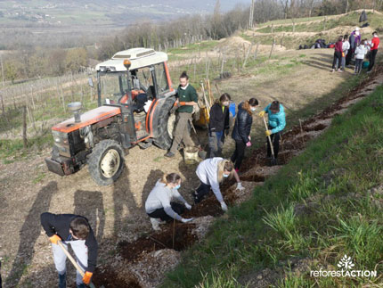 photo of the CENTURY 21 Mont-Blanc Invest reforestation project