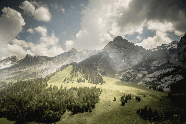 Immobilier Poirier