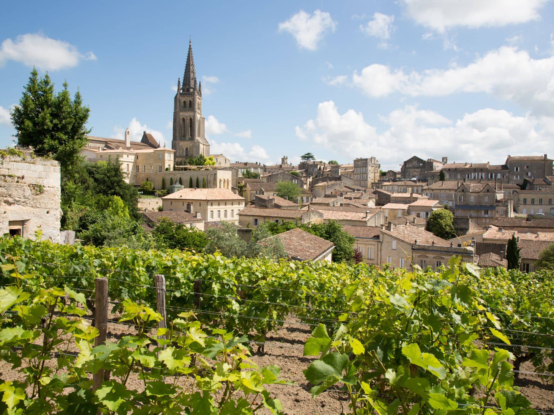 vignoble saint-emilion