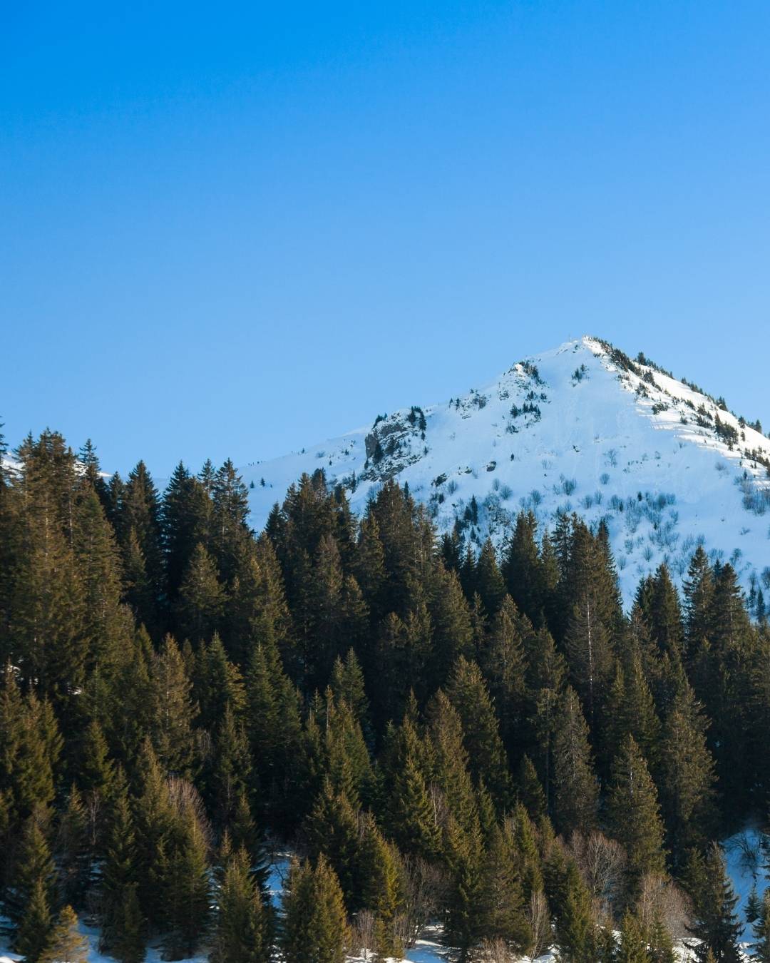 Evenements à Megève 