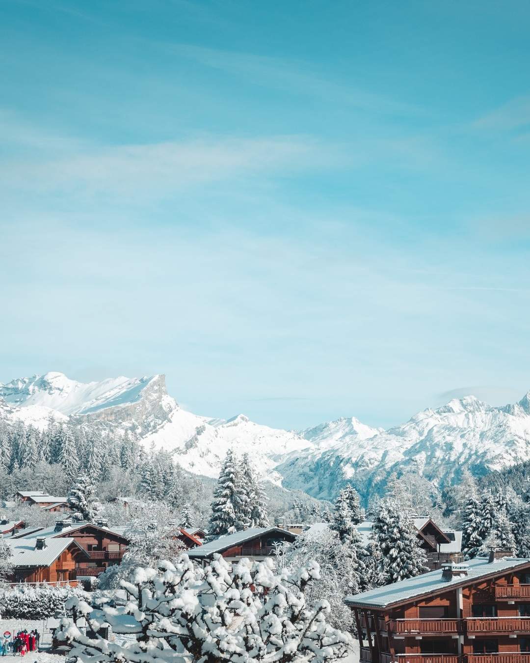 Investissement Praz-sur-Arly