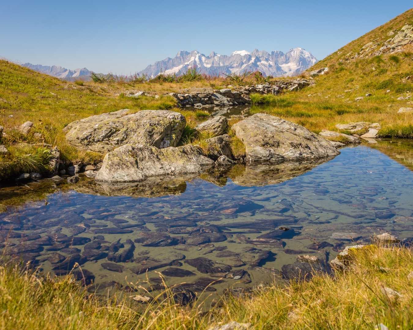 Paysage d'été à Verbier