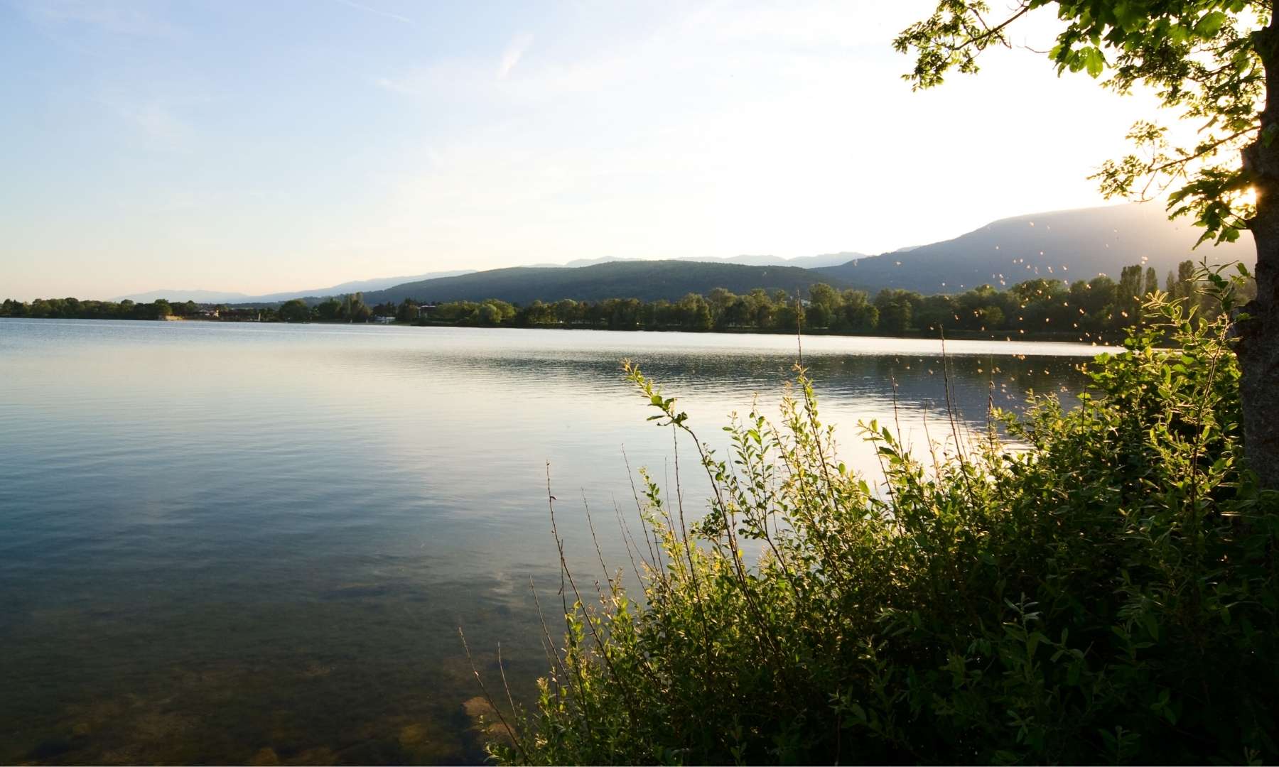 Qualité de vie Pays de Gex