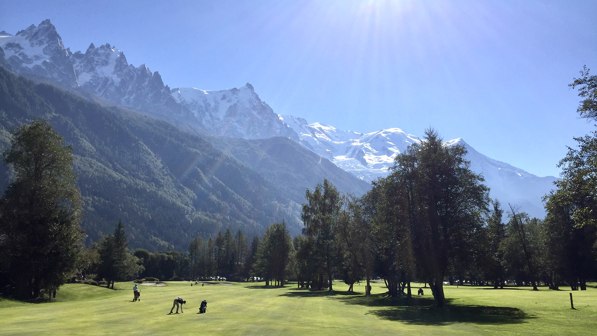 Properties in Chamonix. Chalets and apartments for sale