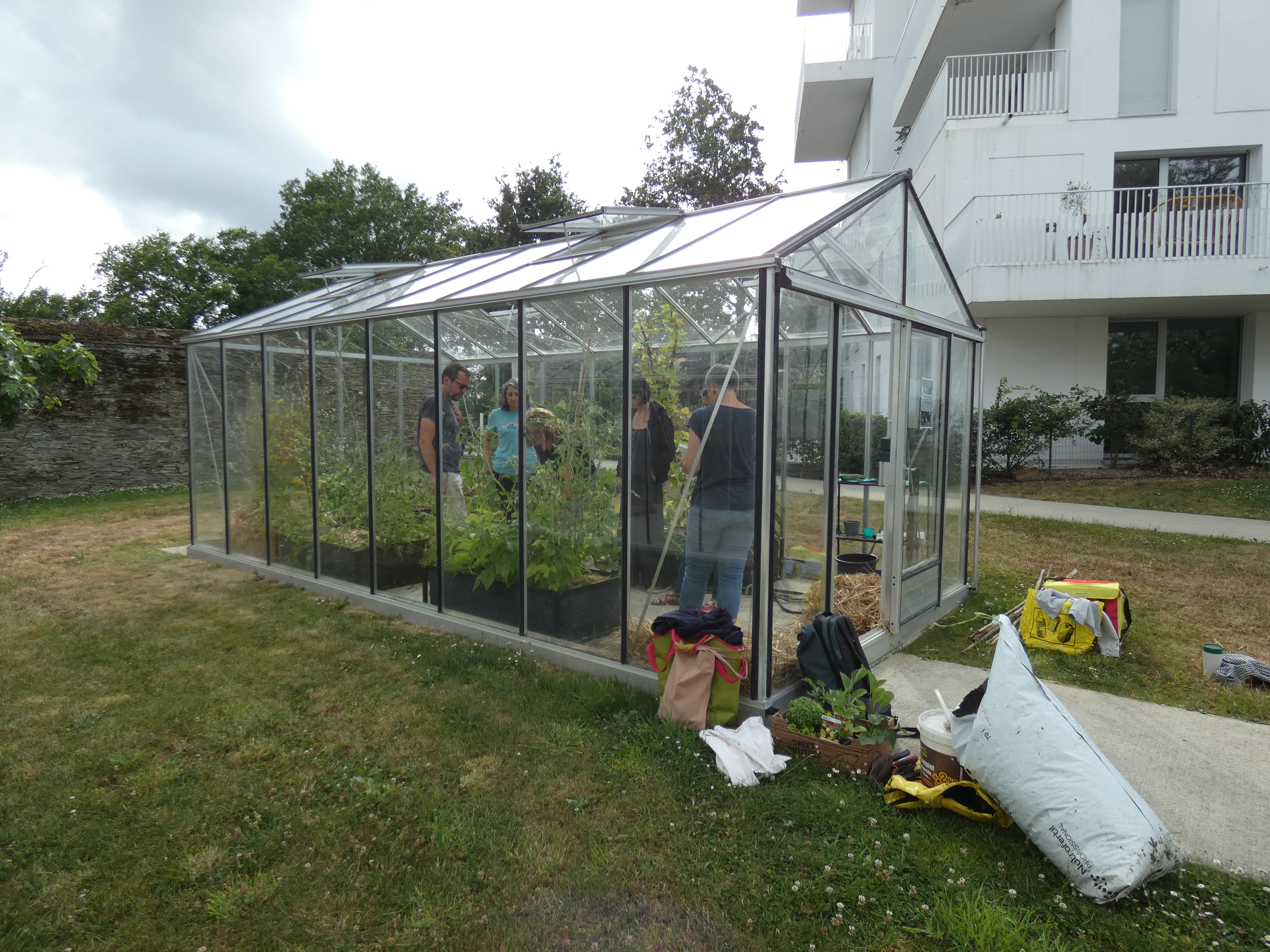 Jardin partagé