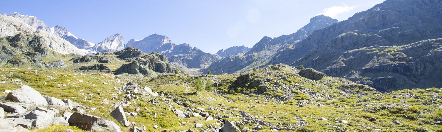 Marché immobilier à Thyon