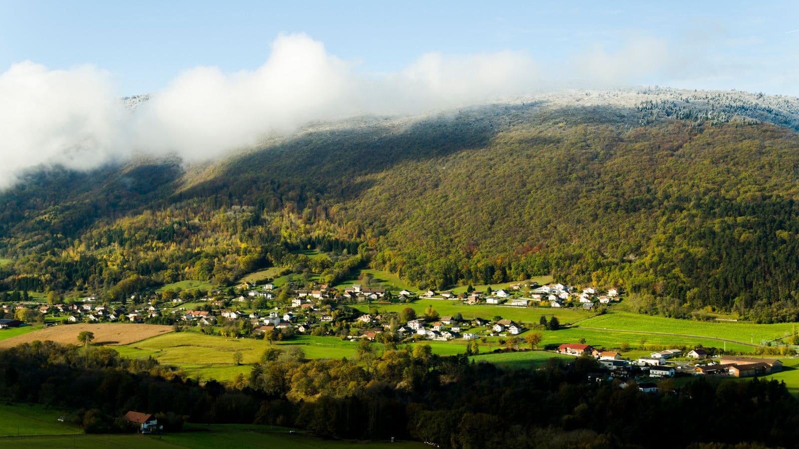 Estimer Annemasse