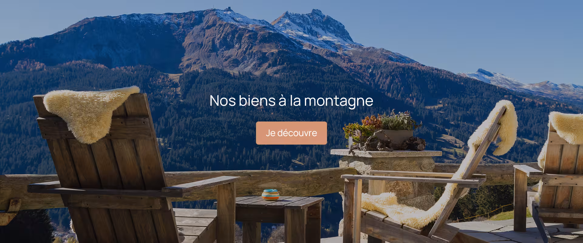 Nos biens immobiliers à la montagne